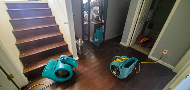 Best Basement water damage restoration  in Morgan Hill, PA