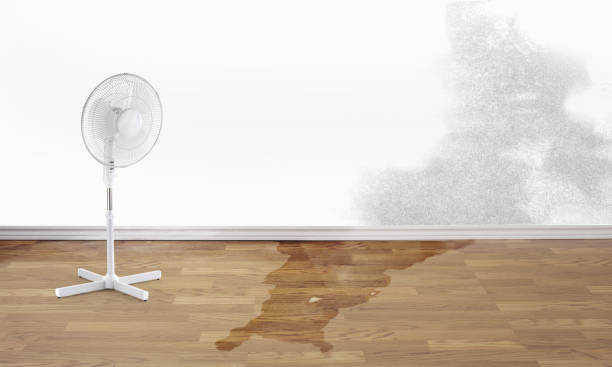 Best Water damage restoration near me  in Morgan Hill, PA