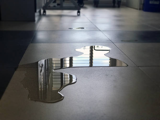 Best 24/7 water damage repair  in Morgan Hill, PA