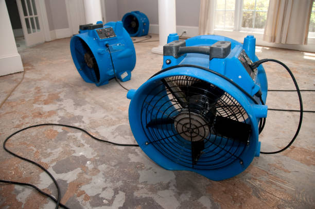 Best Residential water damage restoration  in Morgan Hill, PA