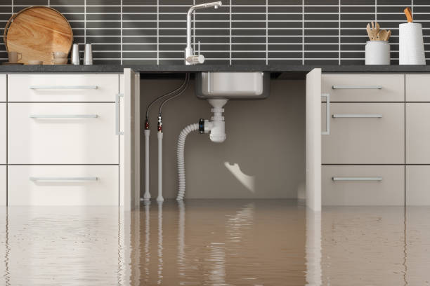 Best Water damage cleanup near me  in Morgan Hill, PA